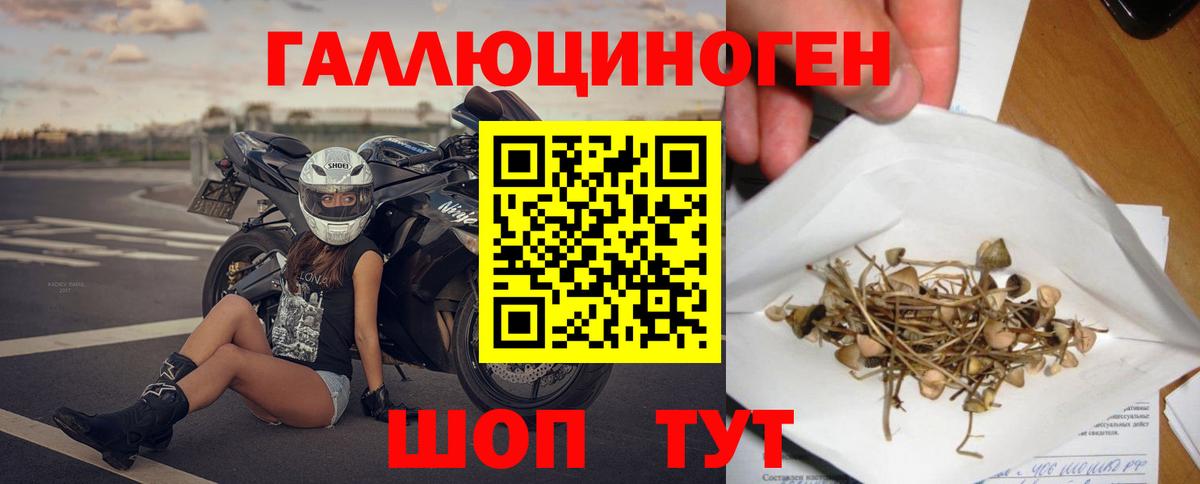 Псилоцибиновые грибы мухоморы Люберцы