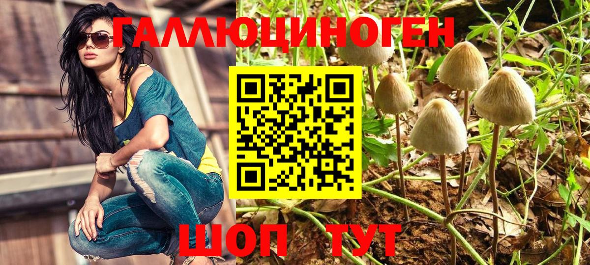 Псилоцибиновые грибы Magic Shrooms  Вход с VPN  Люберцы  Галлюциногенные грибы Magic Shrooms 